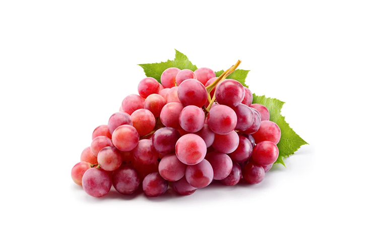 Innovation In Sustainable Health